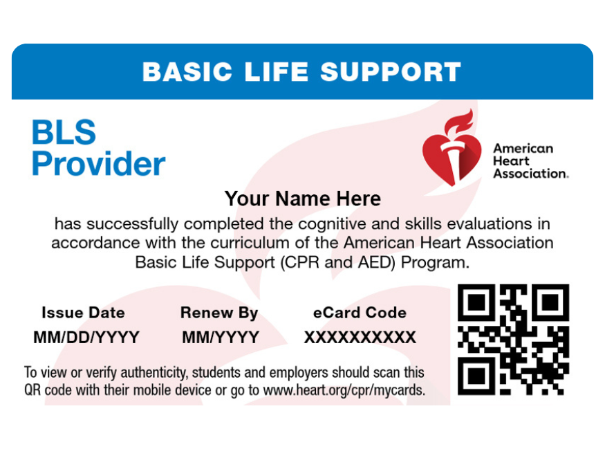 Basic Life Support (BLS) Certification