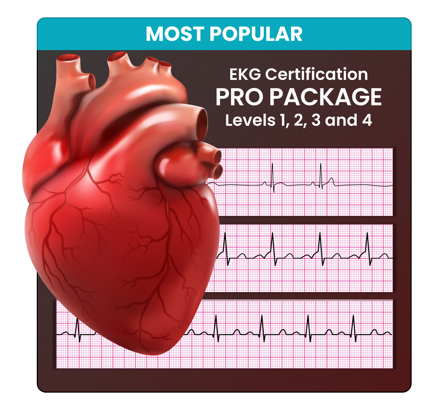 EKG Certification - Pro Package