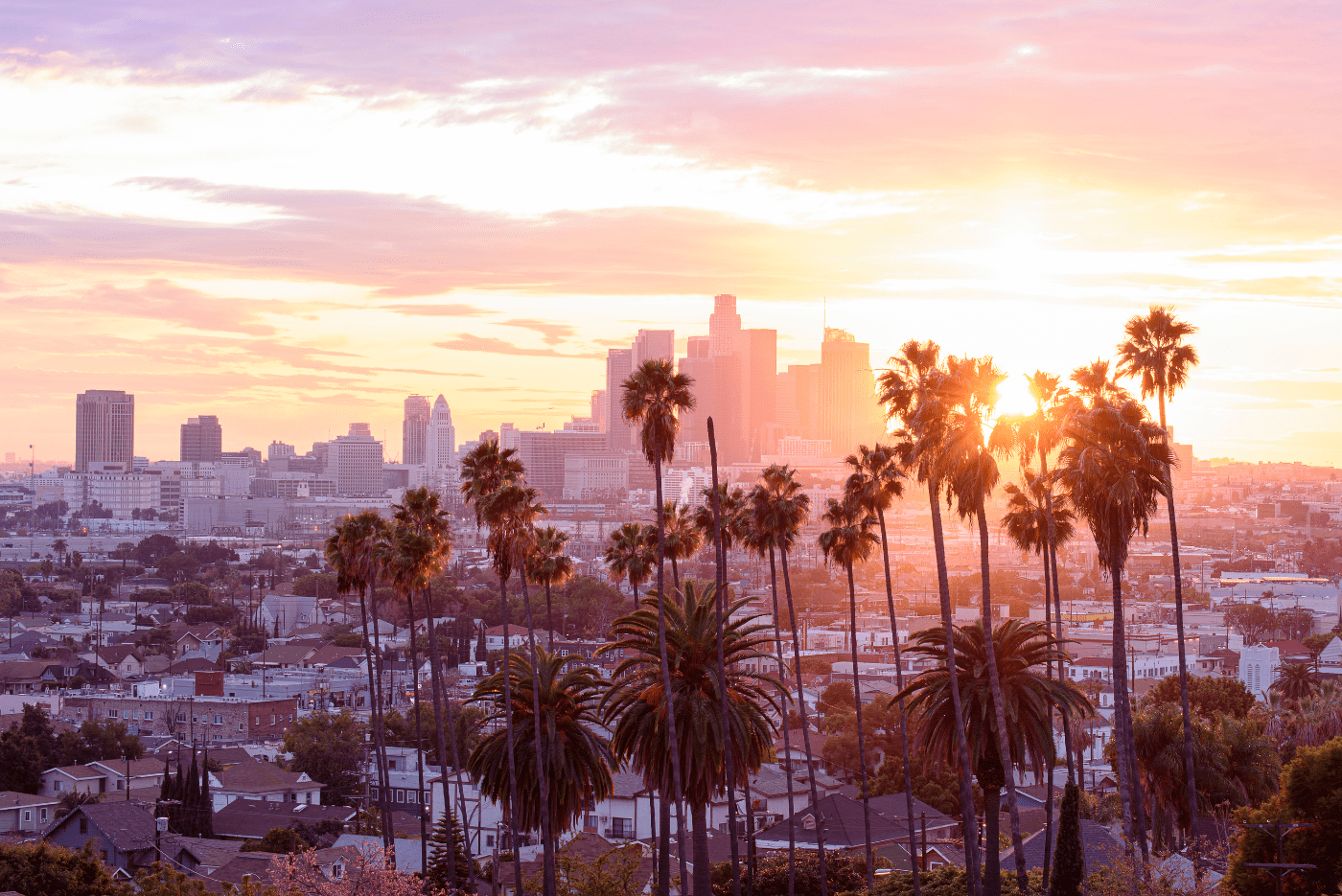Sunset over Los Angeles with palm trees - SureFire CPR California