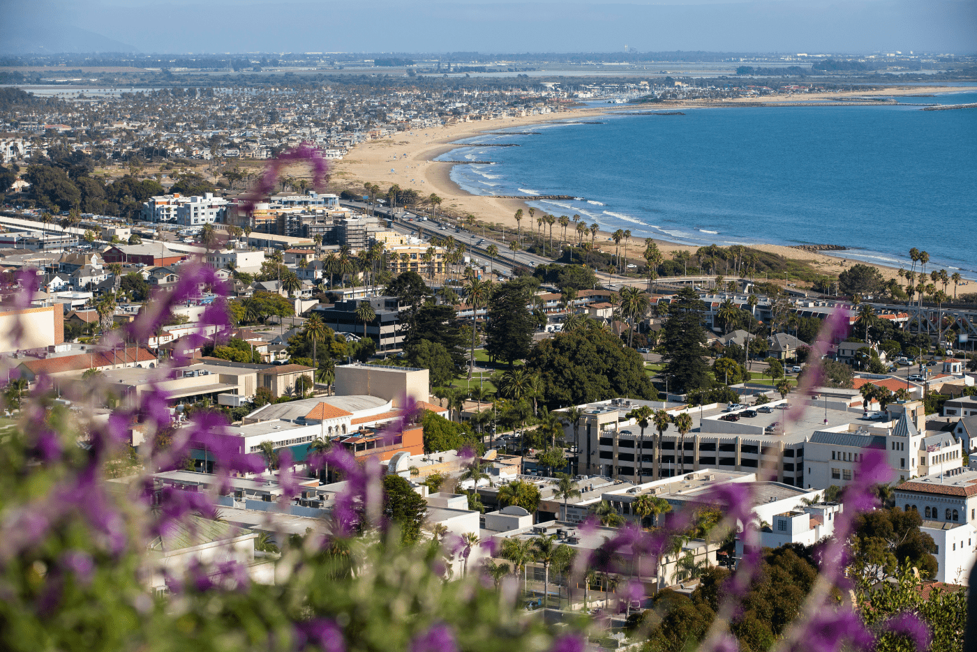 CPR training in Ventura County, CA, overlooking the coast.