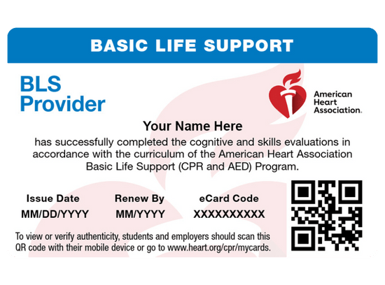 Bls Course Card Basic Life Support (BLS) Certification