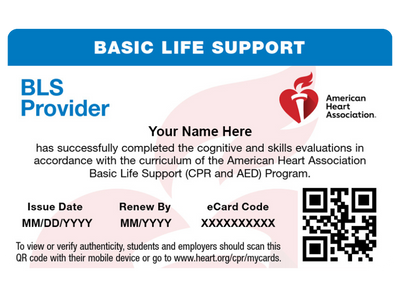 Basic Life Support (BLS) Certification