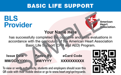 Basic Life Support (BLS) Certification - Skills Test Only