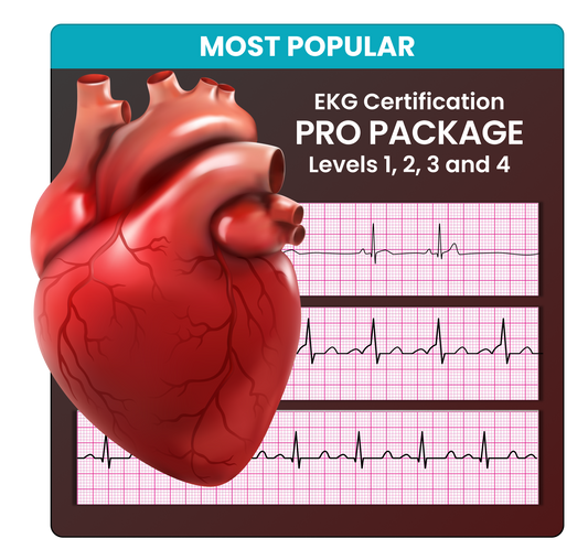 EKG Certification - Pro Package