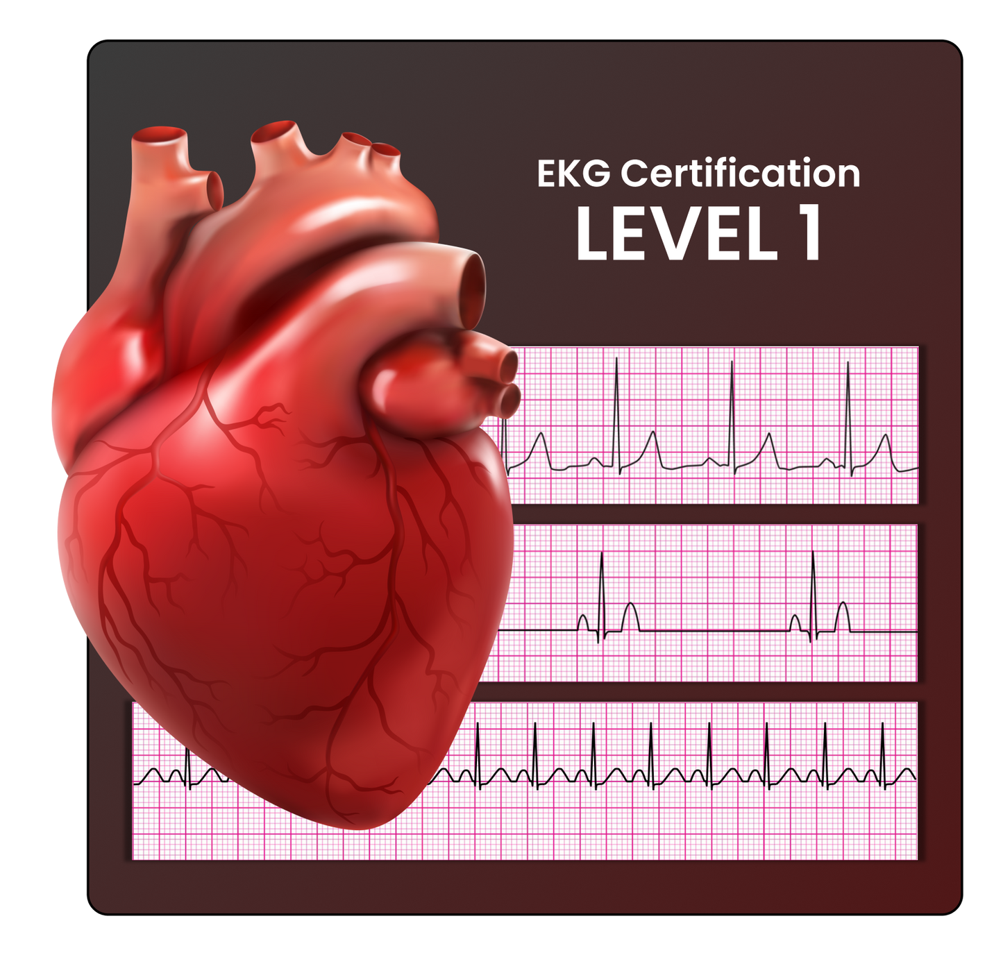 EKG Certification - Level 1