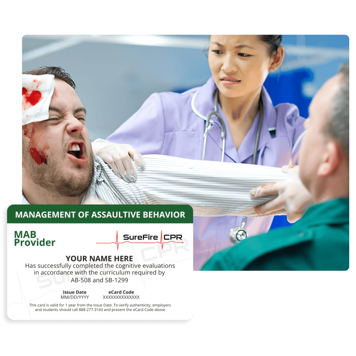 Management of Assaultive Behavior (MAB) Certification