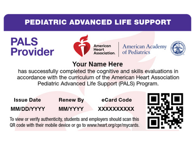Pediatric Advanced Life Support (PALS) Certification