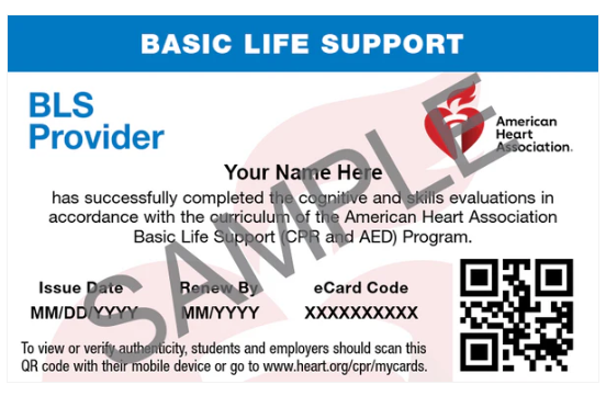 Basic Life Support (BLS) Certification – SureFire CPR