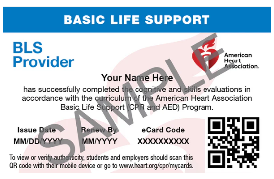 Basic Life Support (BLS) Certification